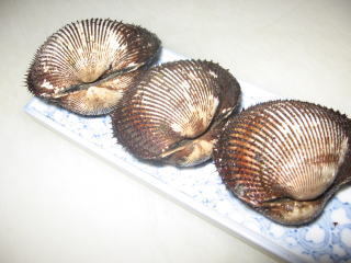 akagai1.jpg