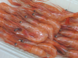 hamaebi.jpg