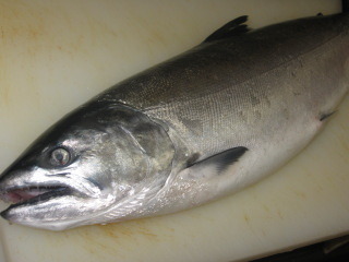 masu.jpg