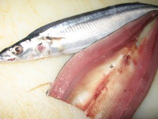 sanma.jpg