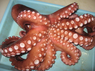 simotako.jpg