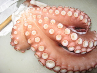 tako2.jpg